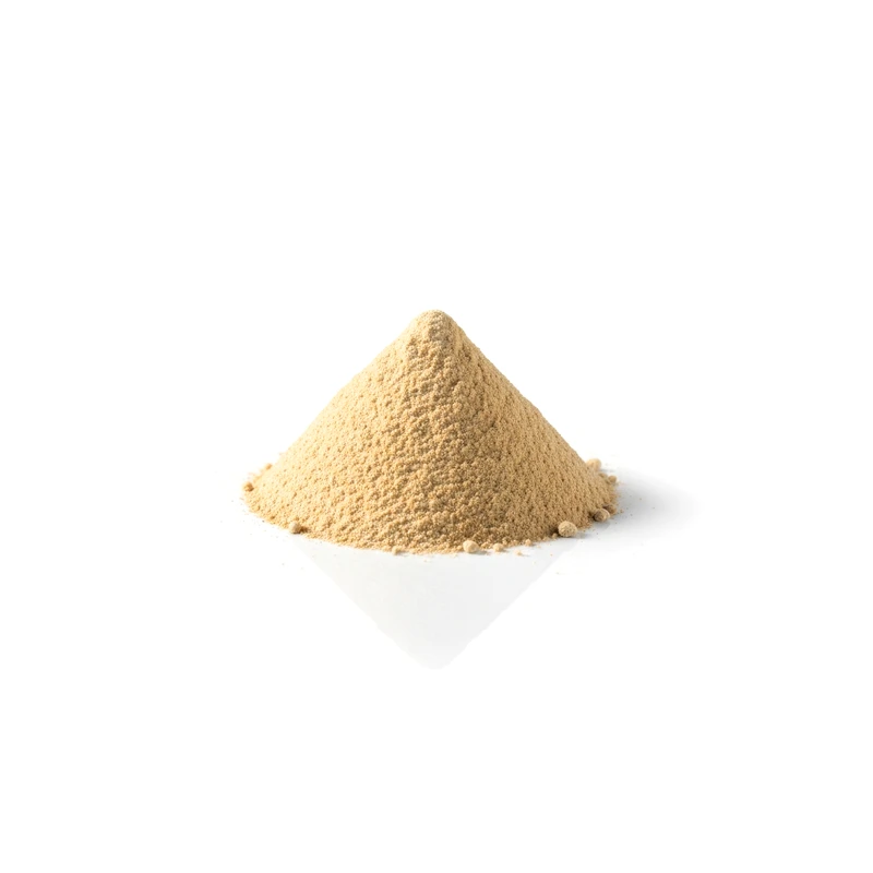 King Trumpet Mushroom Powder