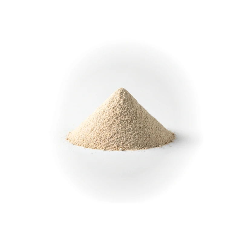 Bacillus Coagulans