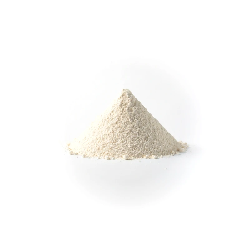 Rice Protein