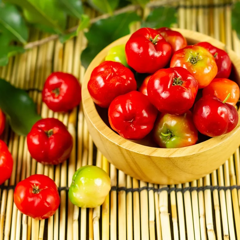 Acerola Cherry Extract — natural source material