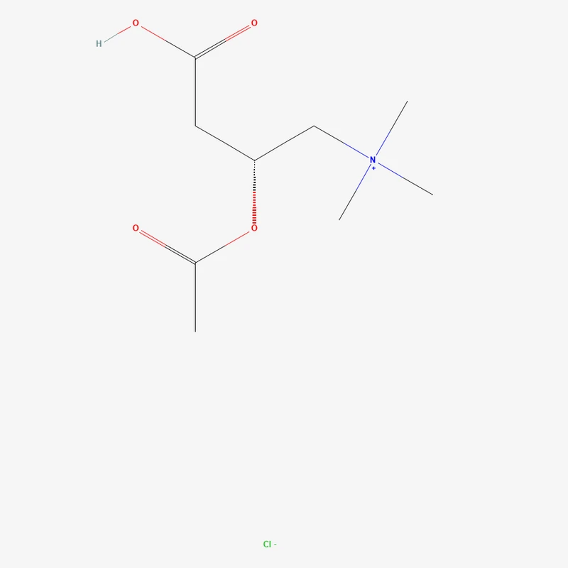 Acetyl L-Carnitine Hydrochloride — bulk ingredient