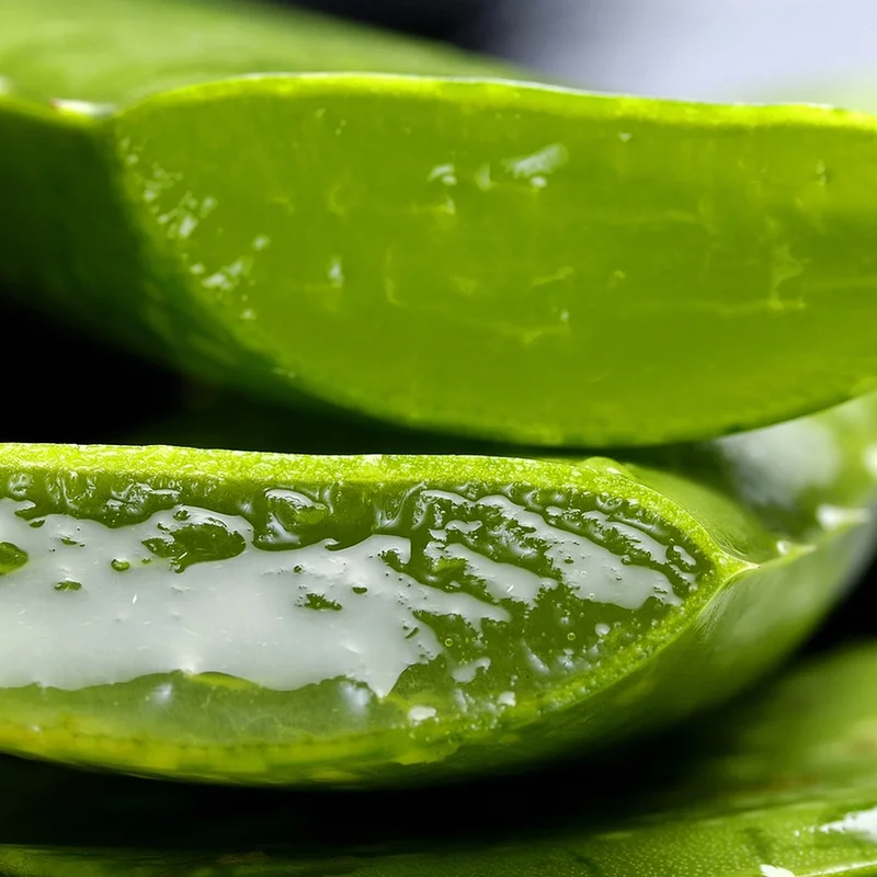 Aloe Vera Extract, natural source material