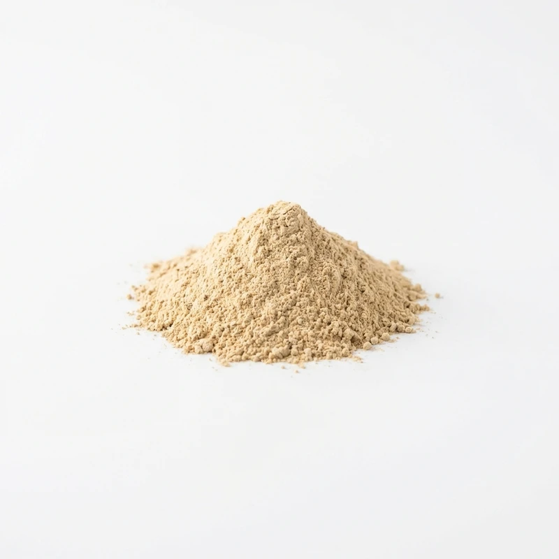 Amla Powder — WHYZ Bulk Ingredients