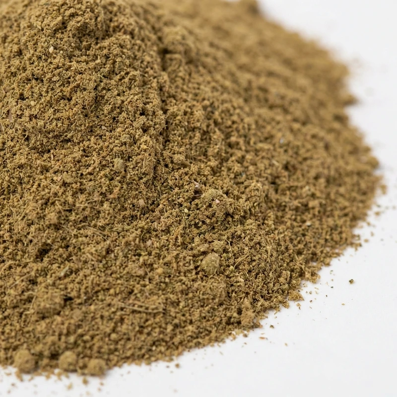 Amla Powder — bulk ingredient