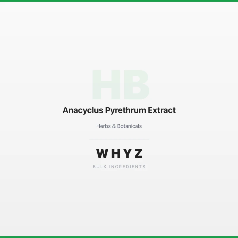 Anacyclus Pyrethrum Extract bulk powder