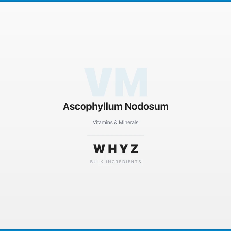 Ascophyllum Nodosum bulk powder