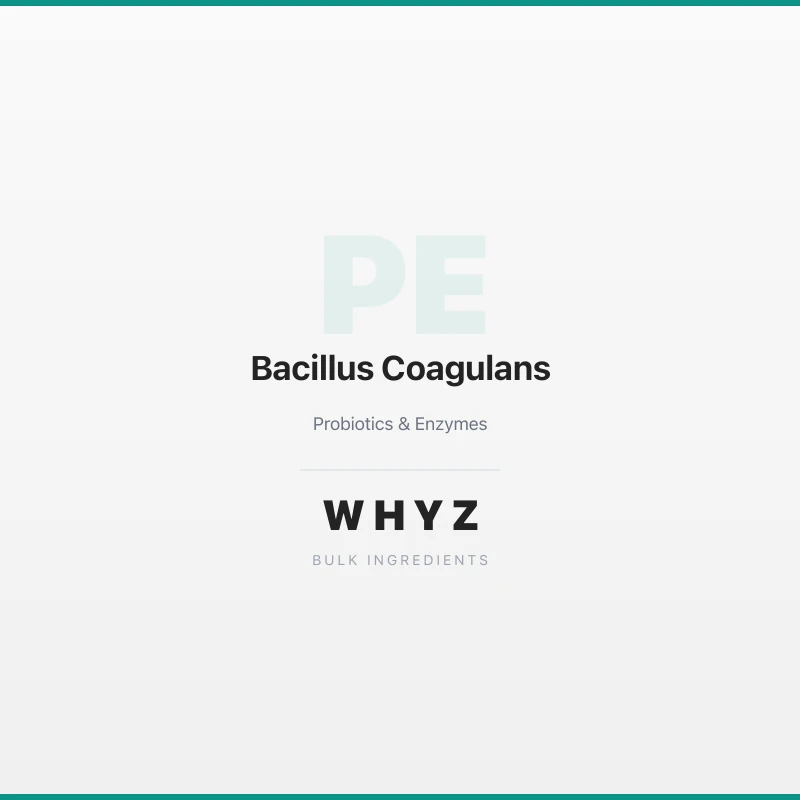 Bacillus Coagulans bulk powder