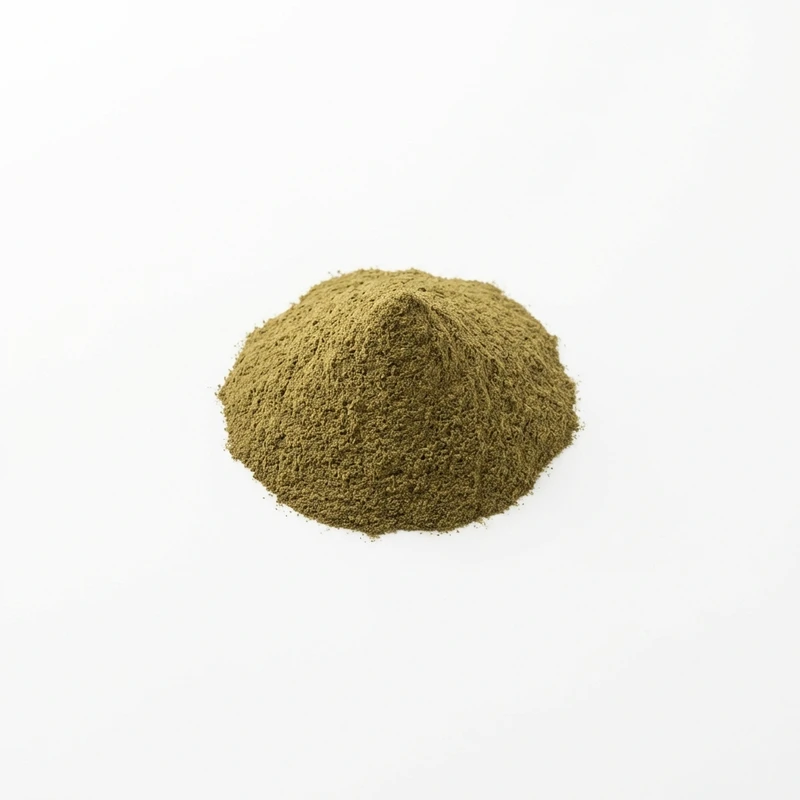 Bacopa Monniera Extract — WHYZ Bulk Ingredients