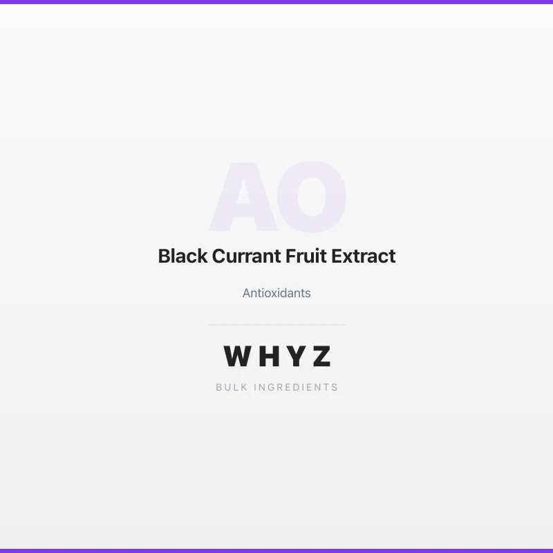 Black Currant Fruit Extract bulk powder