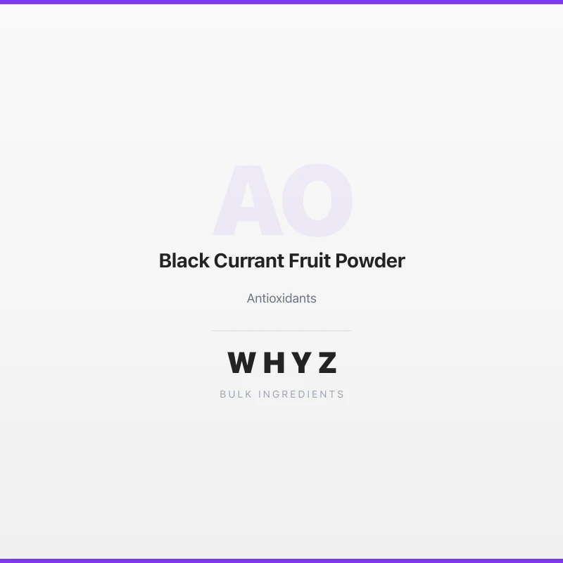 Black Currant Fruit Powder bulk powder