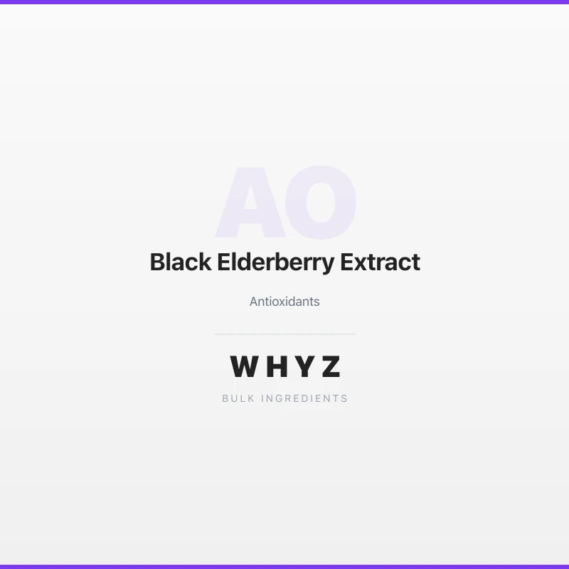 Black Elderberry Extract bulk powder