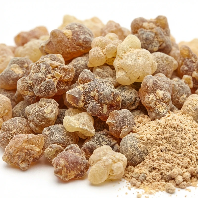 Boswellia Extract — bulk ingredient
