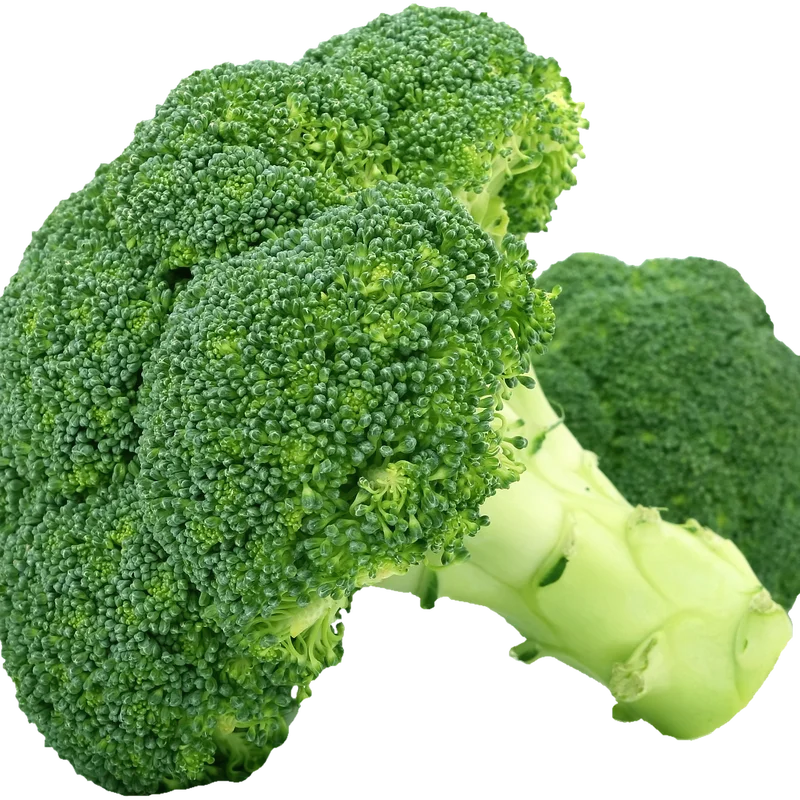 Broccoli Sprout Extract — natural source material