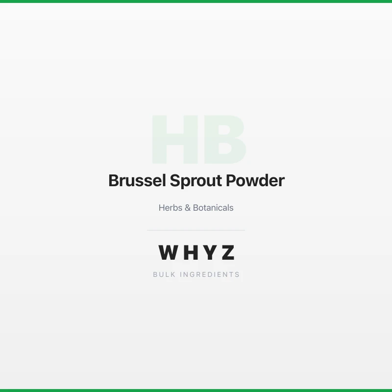 Brussel Sprout Powder bulk powder