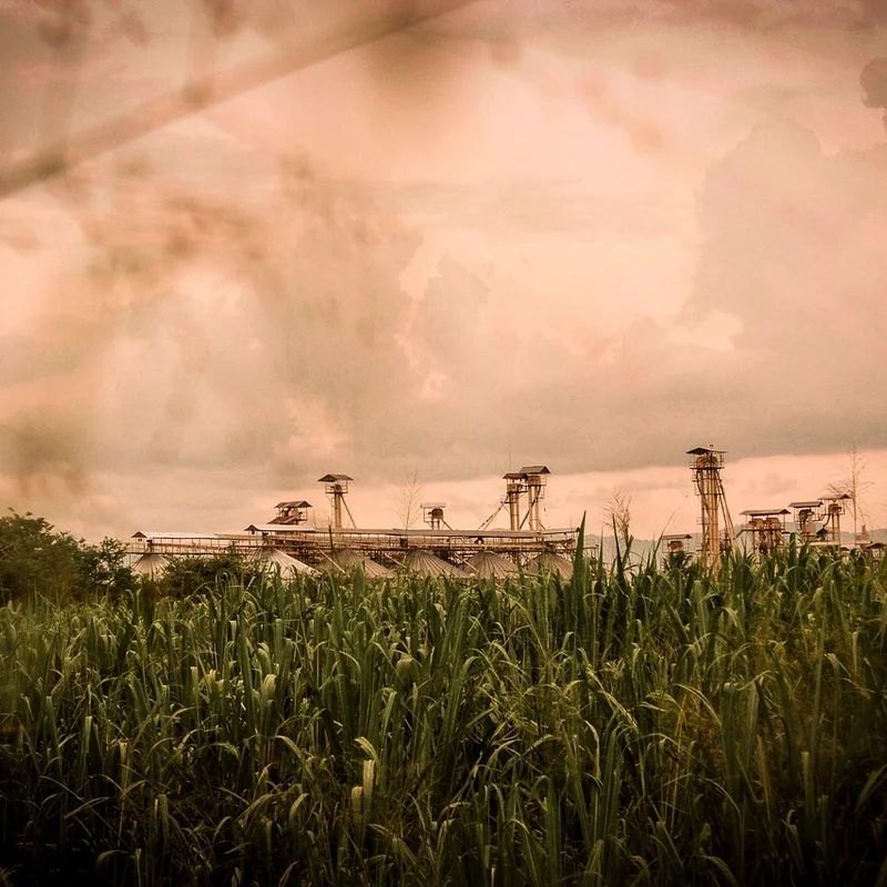 Cane Sugar — natural source material