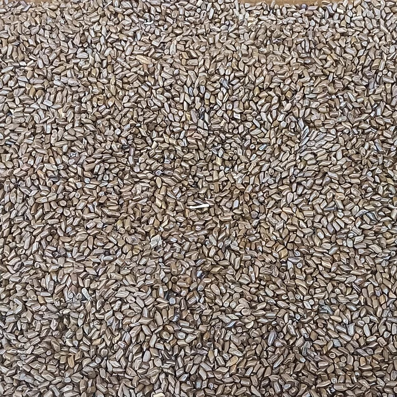 Cassia Seed — natural source material