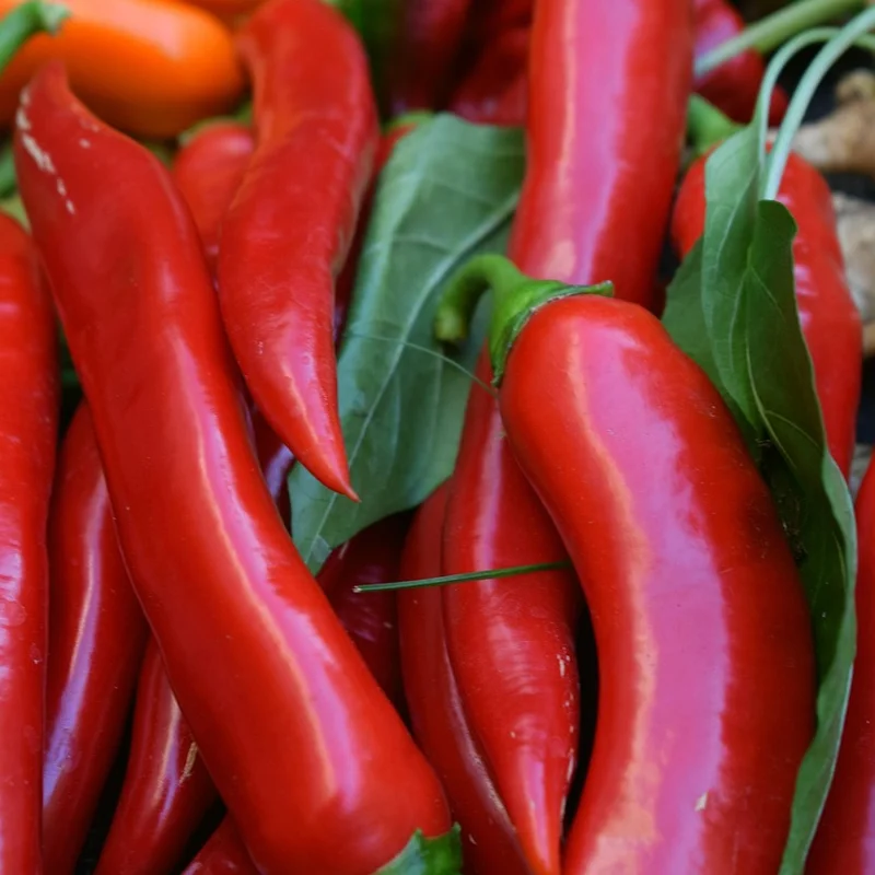 Cayenne Pepper Powder — natural source material