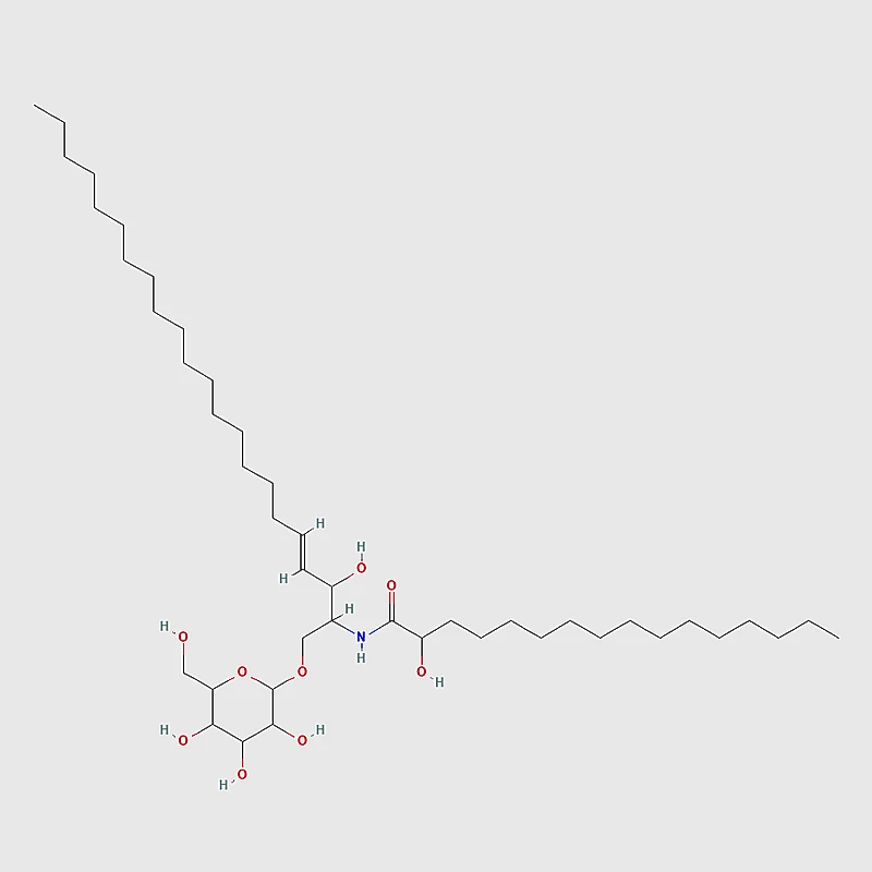Ceramide molecular structure