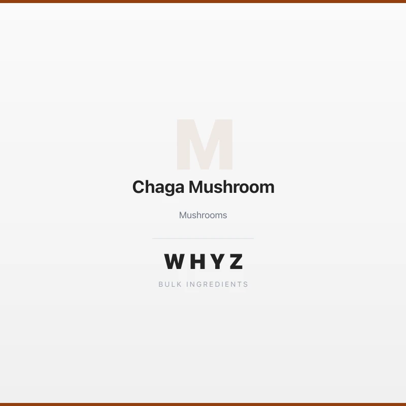 Chaga Mushroom bulk powder