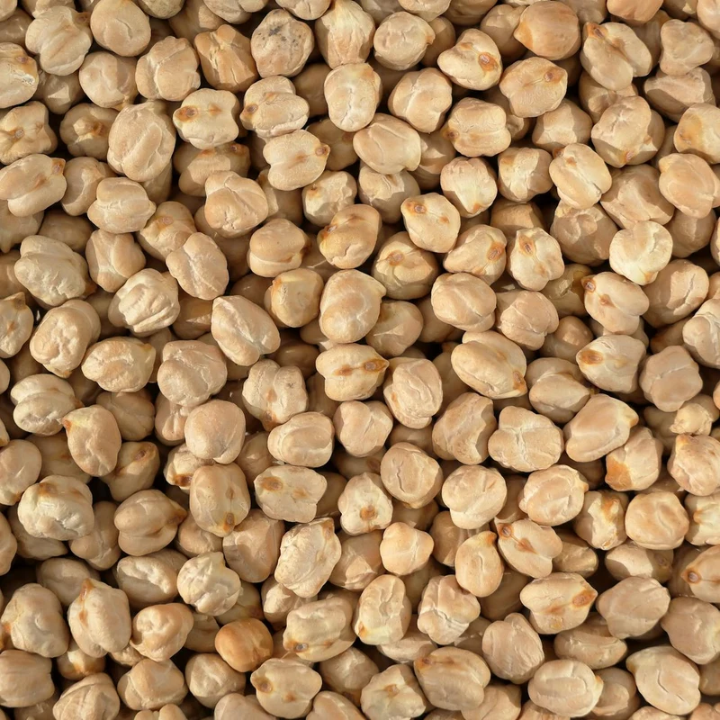 Chickpea Protein — natural source material