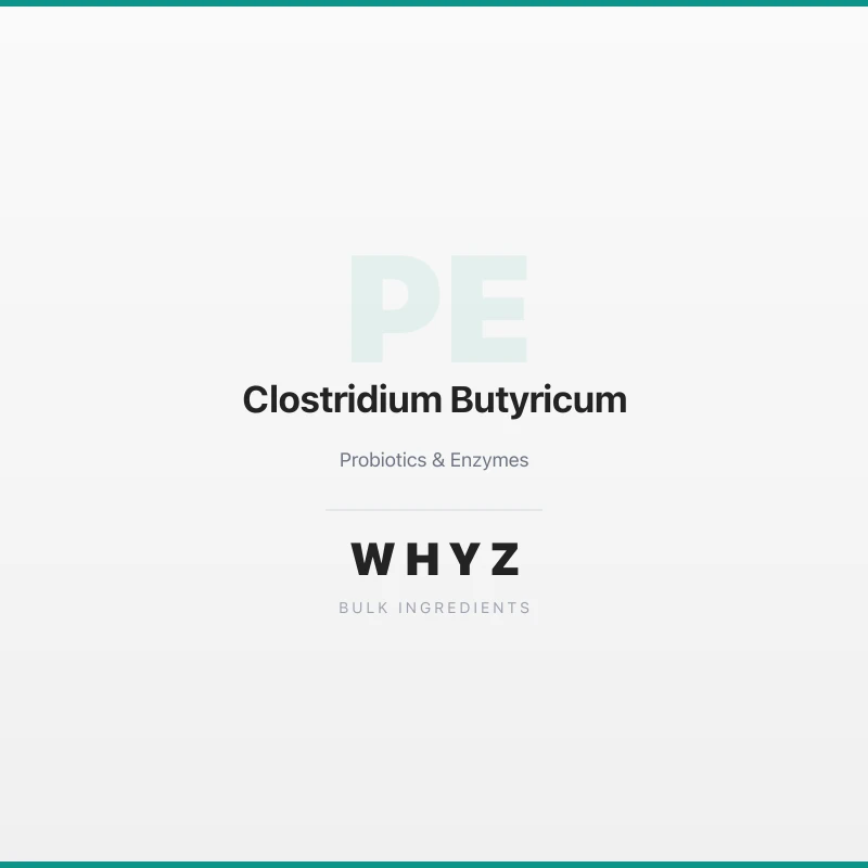 Clostridium Butyricum bulk powder