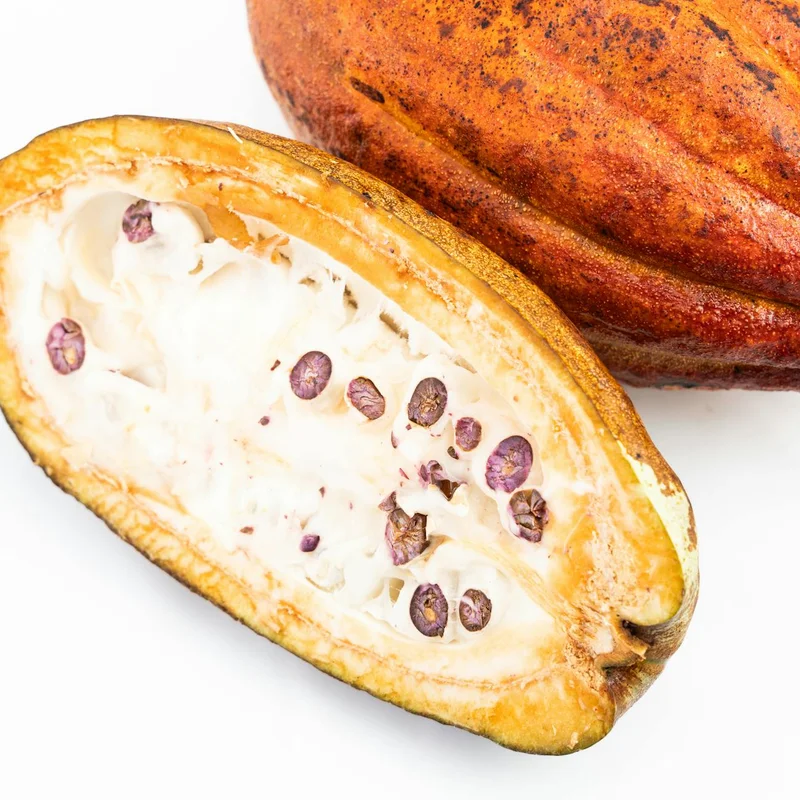 Cocoa — natural source material