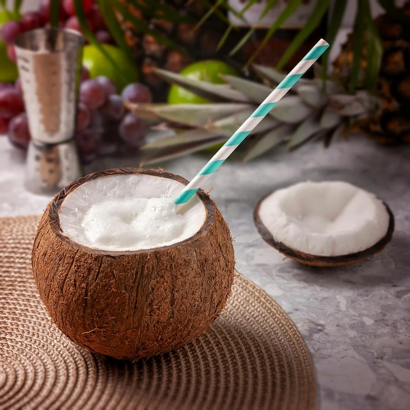 Coconut Milk Powder — natural source material