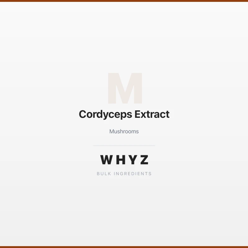 Cordyceps Extract bulk powder