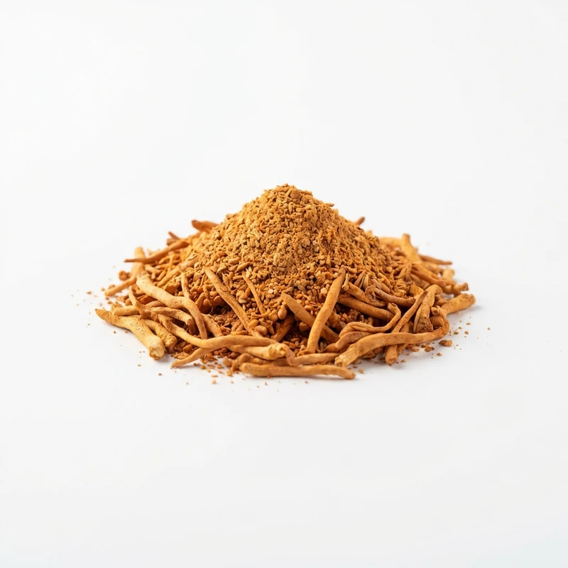 Cordyceps Militaris Extract — WHYZ Bulk Ingredients