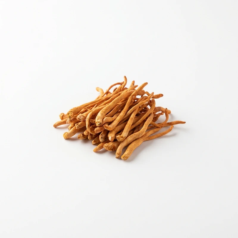 Cordyceps militaris — WHYZ Bulk Ingredients