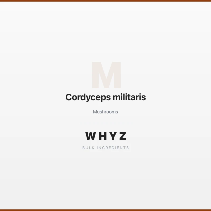 Cordyceps militaris bulk powder