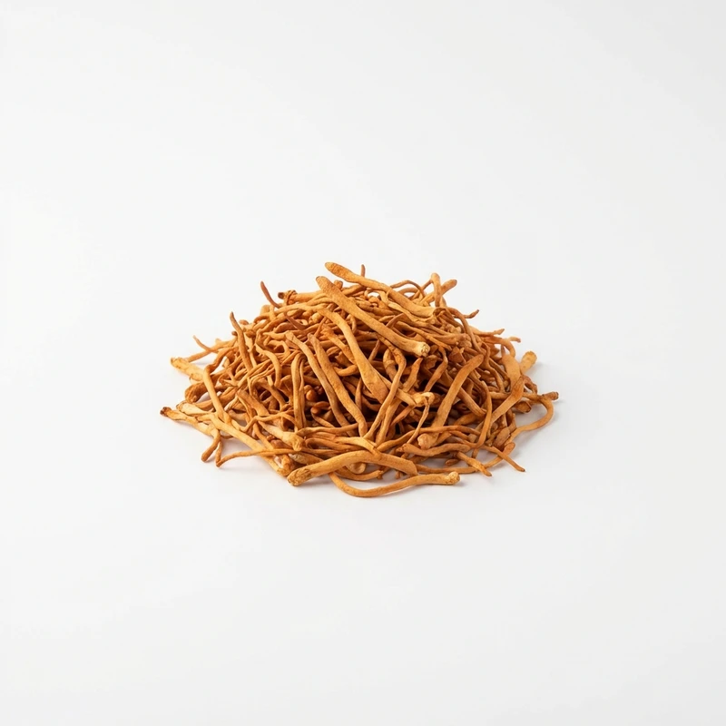 Cordyceps Mushroom — WHYZ Bulk Ingredients