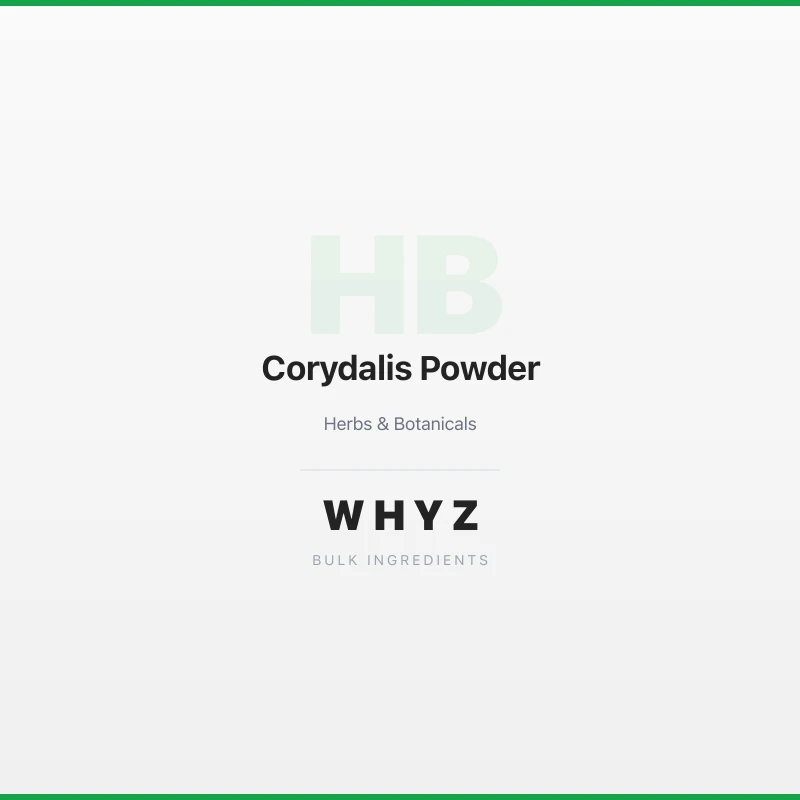 Corydalis Powder bulk powder