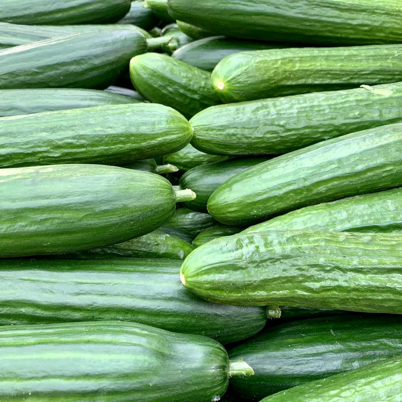 Cucumber — natural source material