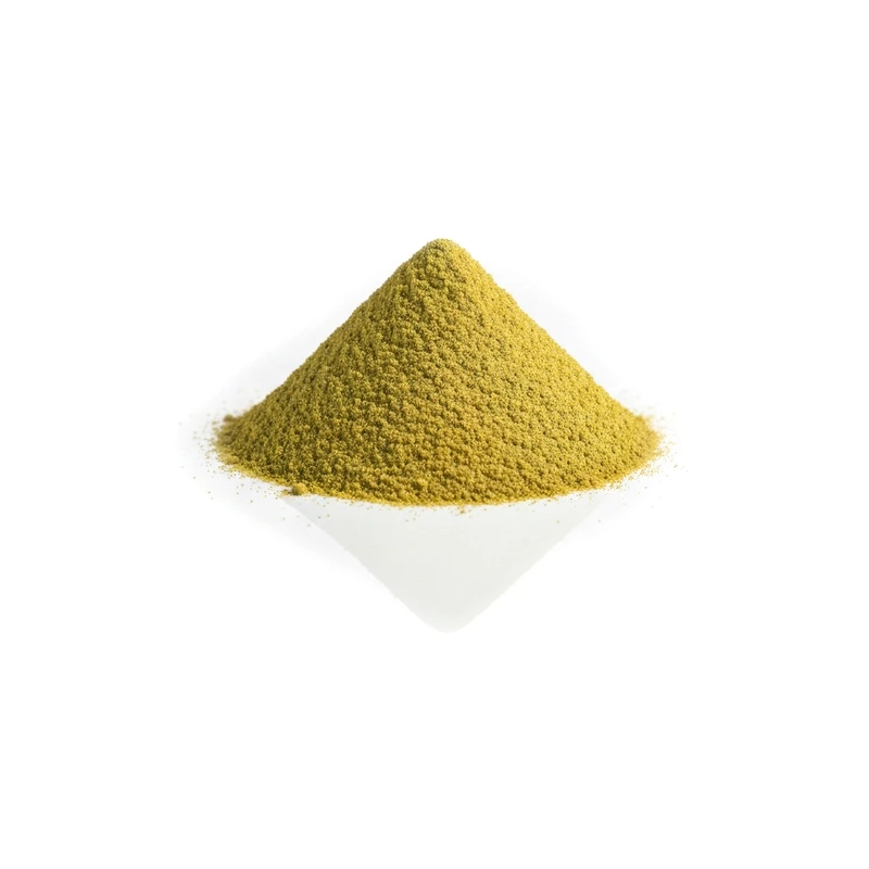 Ginkgo Biloba