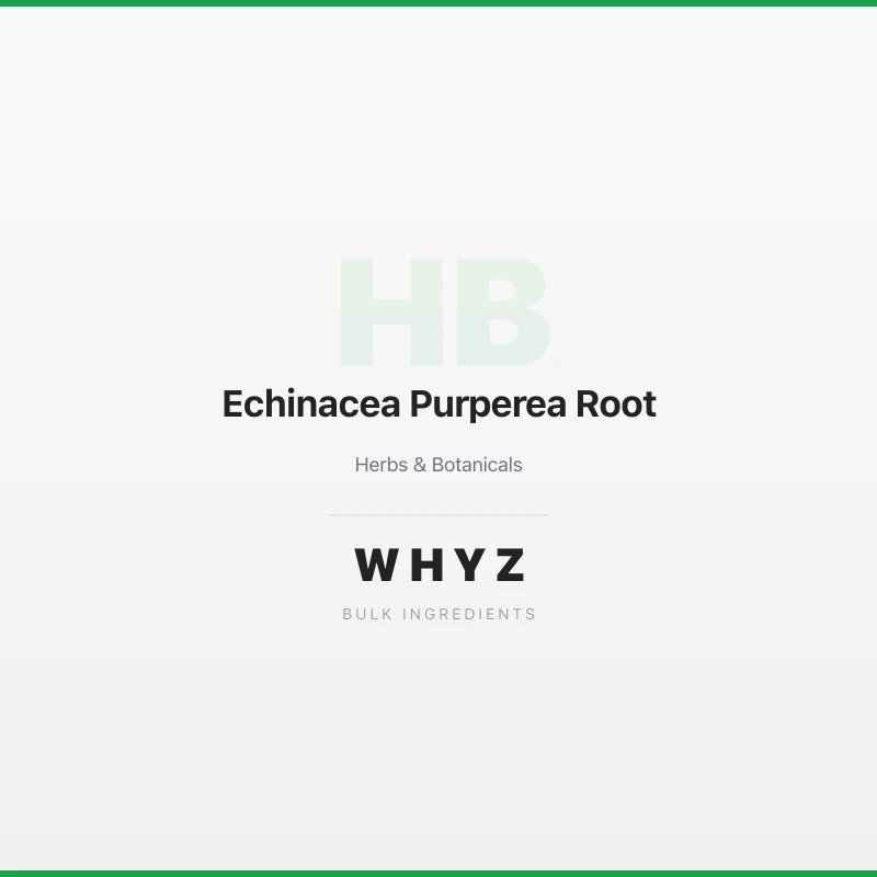 Echinacea Purperea Root bulk powder