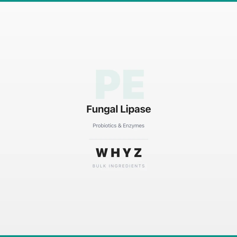 Fungal Lipase bulk powder