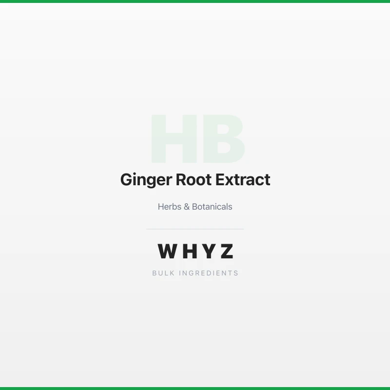 Ginger Root Extract bulk powder
