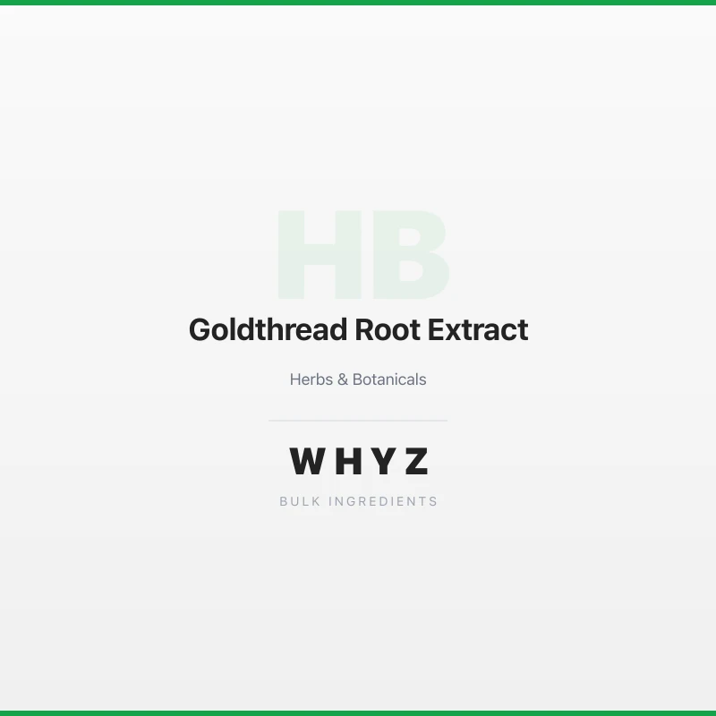 Goldthread Root Extract bulk powder