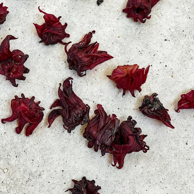 Hibiscus Extract — natural source material