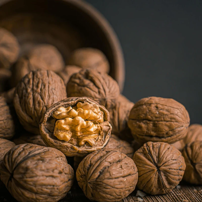 Juglandis Walnut — natural source material