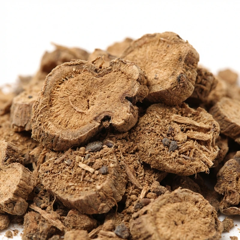 Kaempferia Extract — bulk ingredient