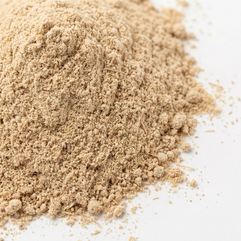 King Trumpet Mushroom Powder — bulk ingredient