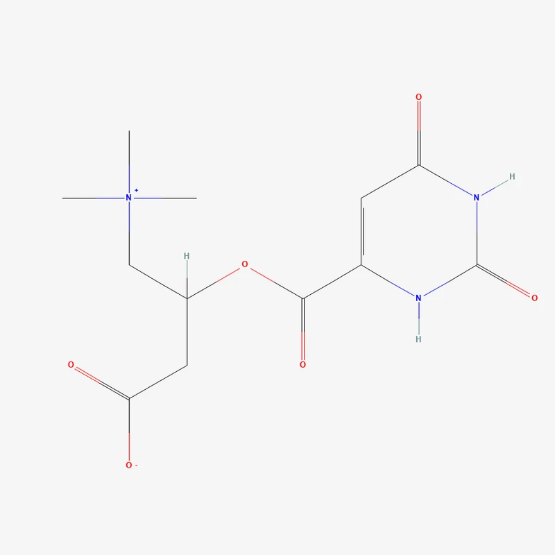 L-Carnitine Orotate — bulk ingredient