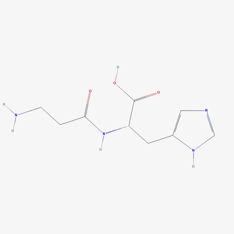 L-Carnosine — bulk ingredient