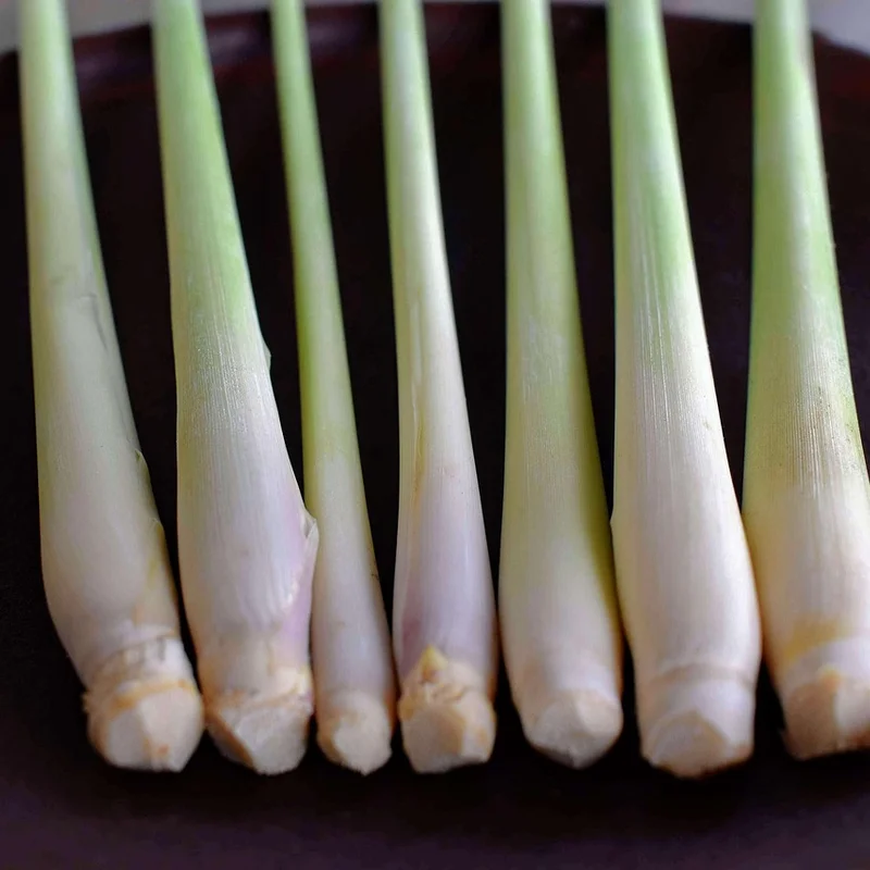 Lemongrass Powder — natural source material