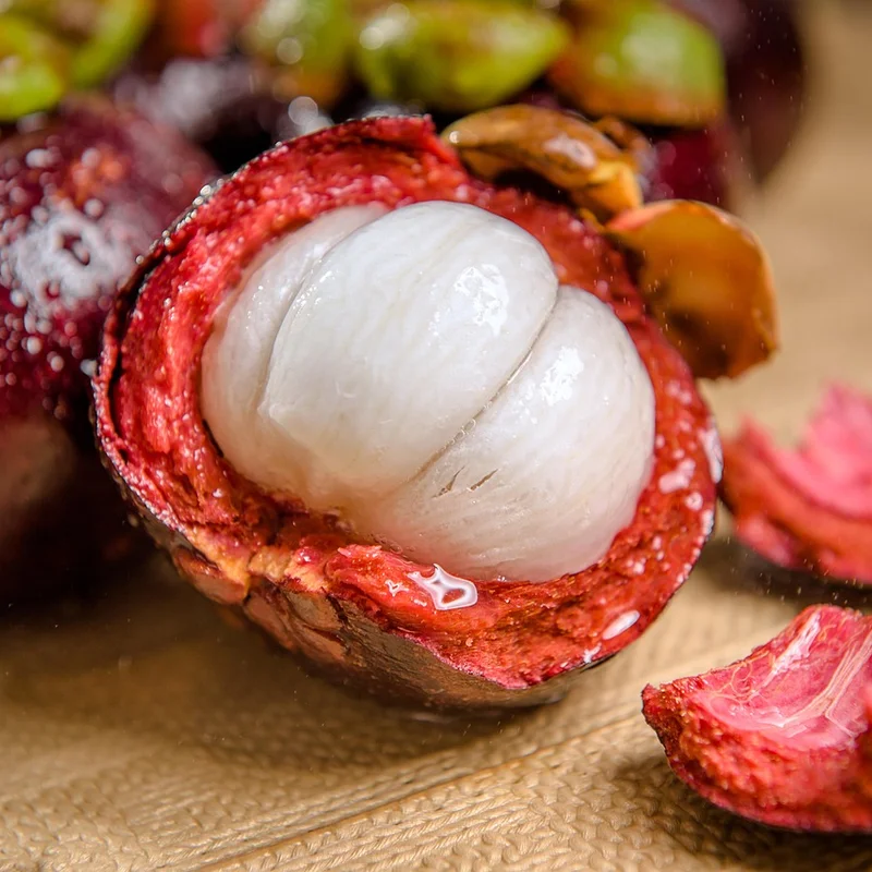 Mangosteen Extract — natural source material
