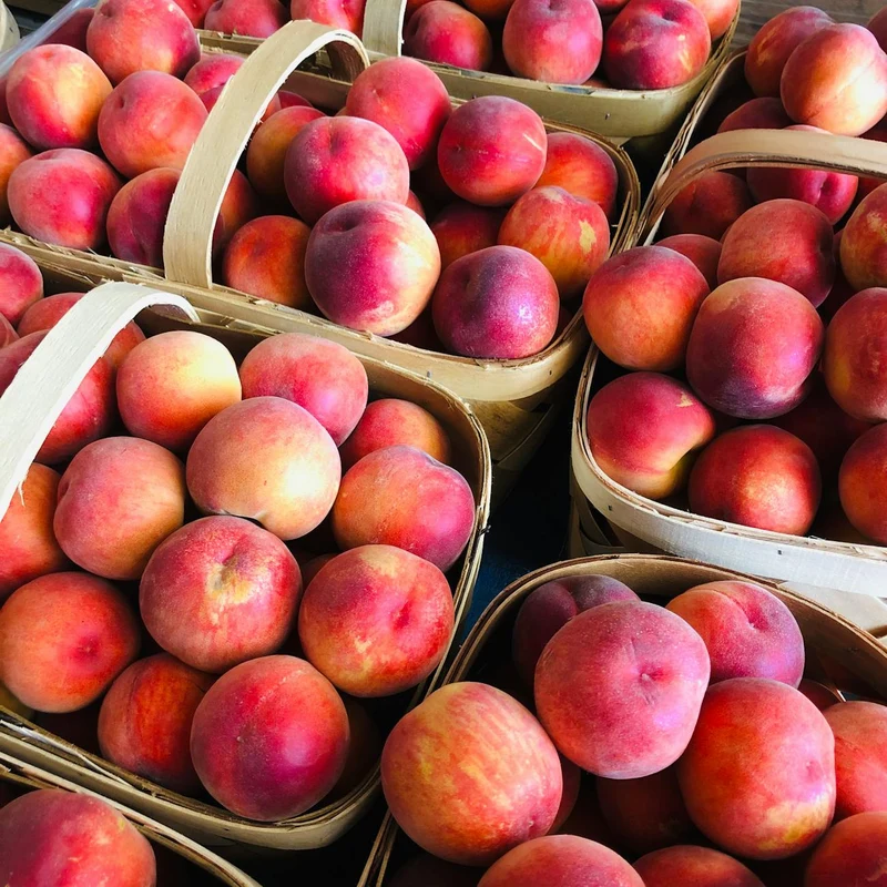 Nectarine Juice — natural source material