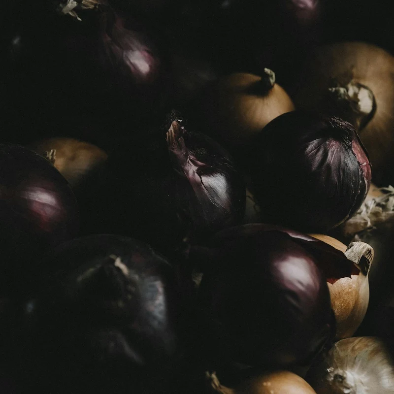 Onion Extract — natural source material