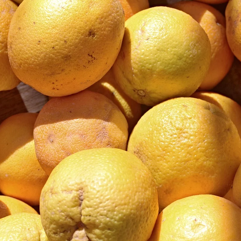 Orange Peel Powder — natural source material